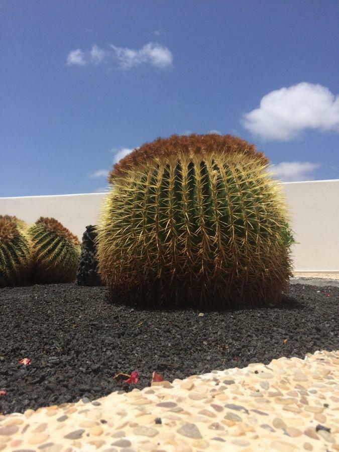 Los Panelos B1 Puerto del Carmen  Ngoại thất bức ảnh